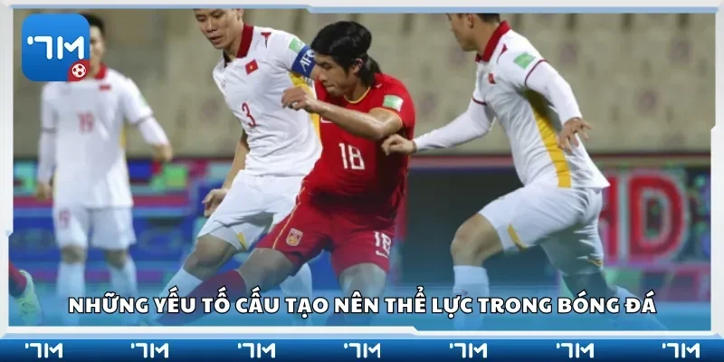 Những yếu tố cấu tạo nên thể lực trong bóng đá