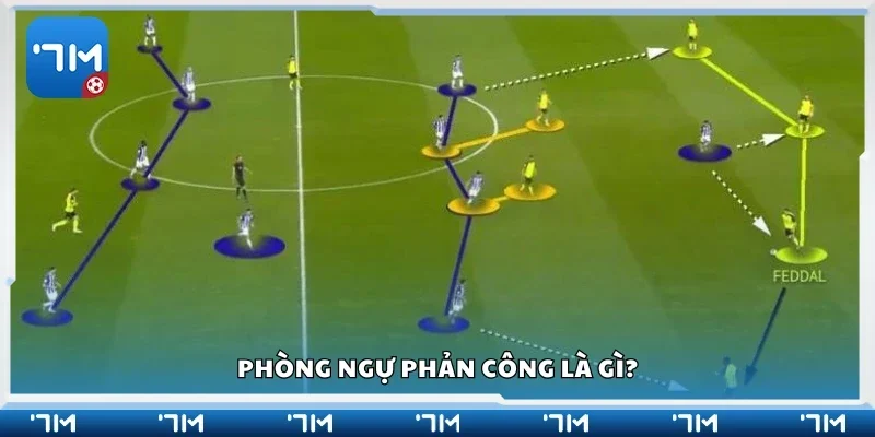 Sơ lược về vị trí phòng ngự phản công