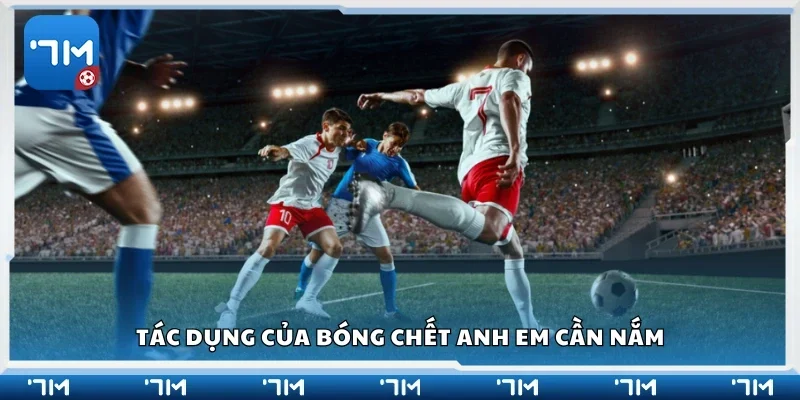 Tác dụng của bóng chết anh em cần nắm