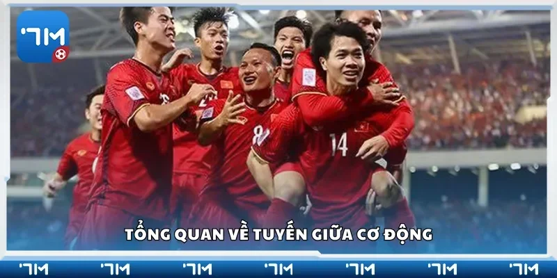 Tổng quan về tuyến giữa cơ động