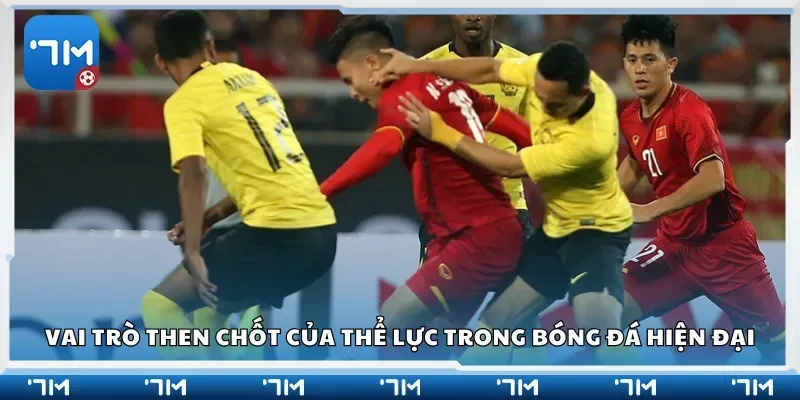 Vai trò then chốt của thể lực trong bóng đá hiện đại