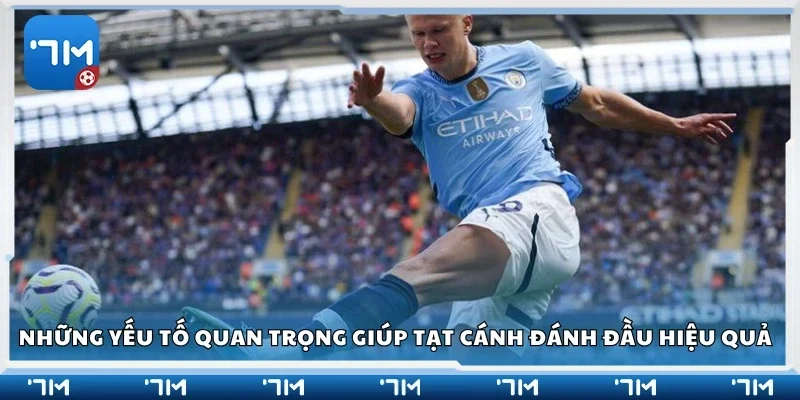 Yếu tố quan trọng giúp tạt cánh đánh đầu hiệu quả