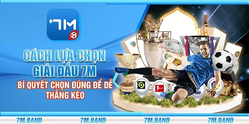 Cách lựa chọn giải đấu 7m – Bí quyết chọn đúng để dễ thắng kèo