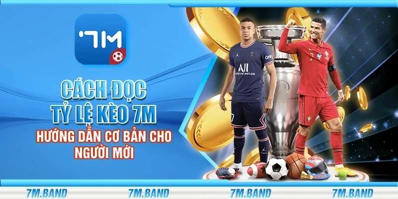 Cách đọc tỷ lệ kèo 7m – Hướng dẫn cơ bản cho người mới