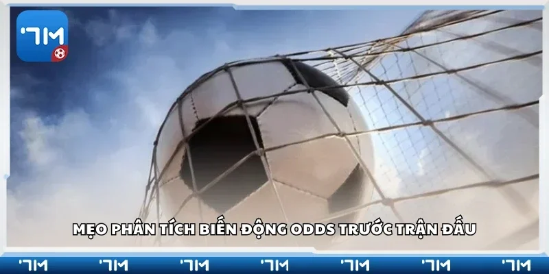 Bí kíp phân tích biến động Odds trước trận đấu