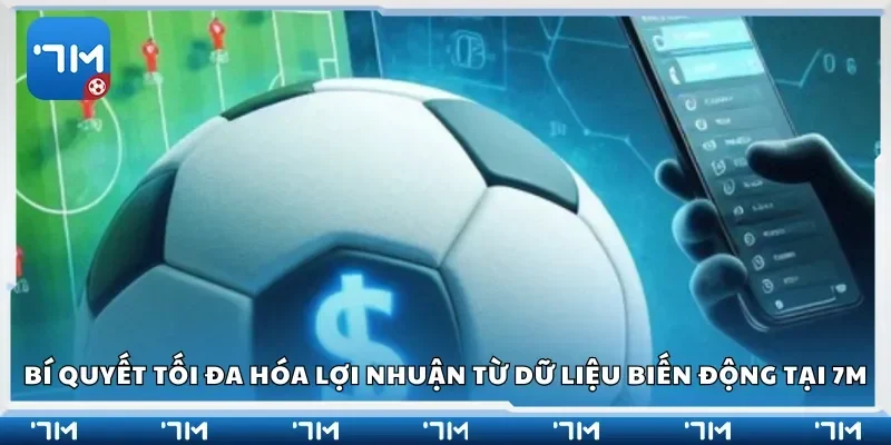 Bí quyết tối đa hóa lợi nhuận từ dữ liệu biến động tại 7m