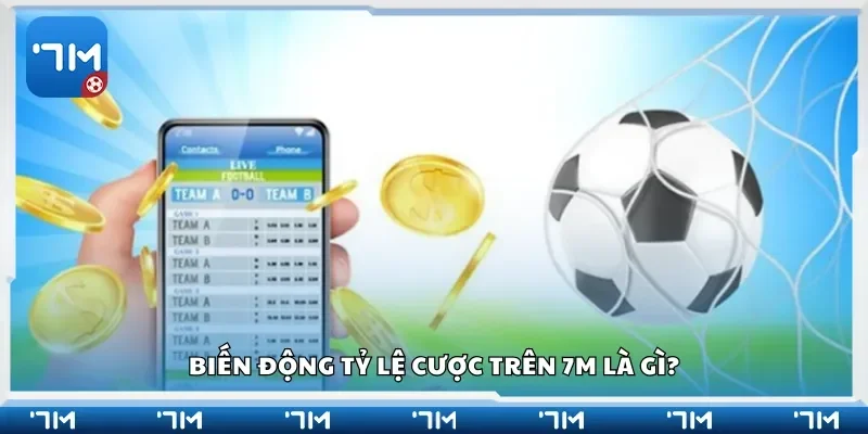 Biến động tỷ lệ cược trên 7m là gì?