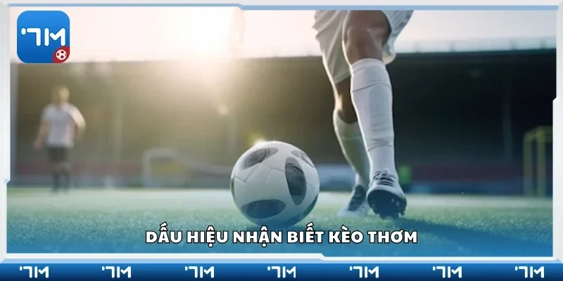 Các dấu hiệu nhận biết kèo thơm