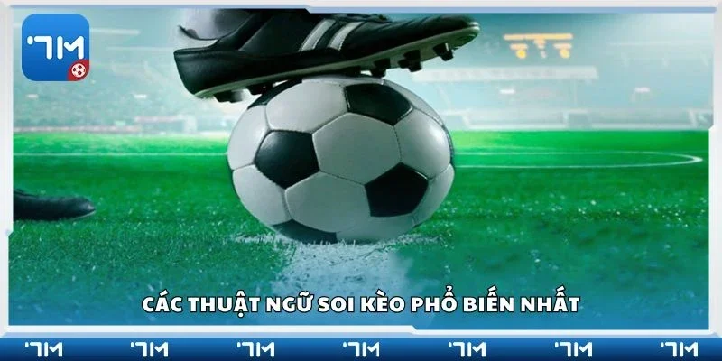Các thuật ngữ soi kèo phổ biến nhất