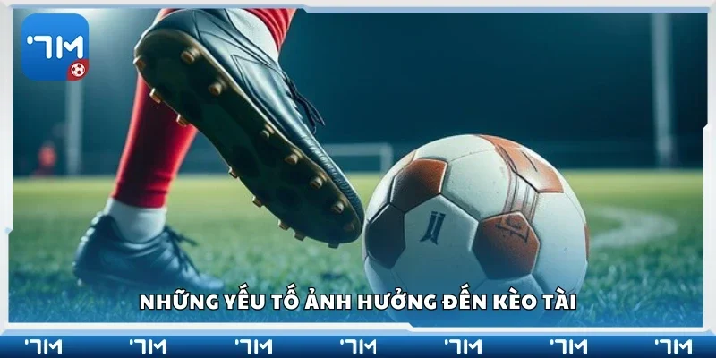 Các yếu tố ảnh hưởng đến kèo tài