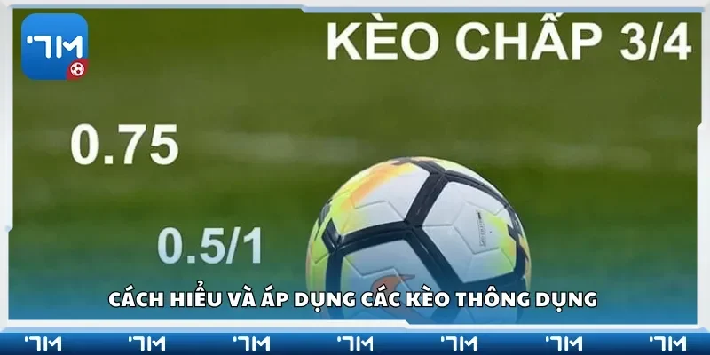 Cách hiểu và áp dụng các kèo thông dụng
