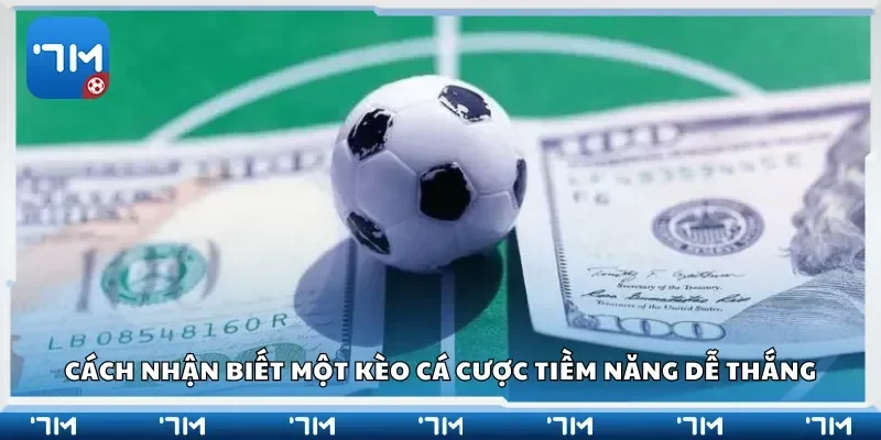 Cách nhận biết một kèo cá cược tiềm năng dễ thắng