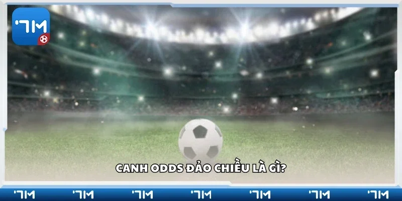 Canh odds đảo chiều là gì?