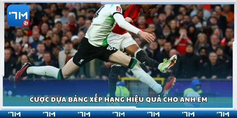 Cược dựa bảng xếp hạng hiệu quả cho anh em