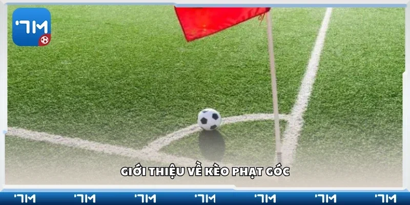 Giới thiệu về kèo phạt góc