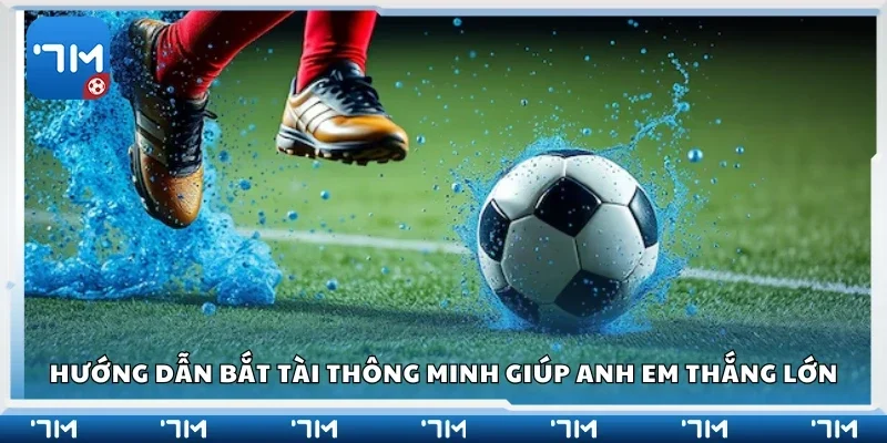 Hướng dẫn bắt tài thông minh giúp anh em thắng lớn