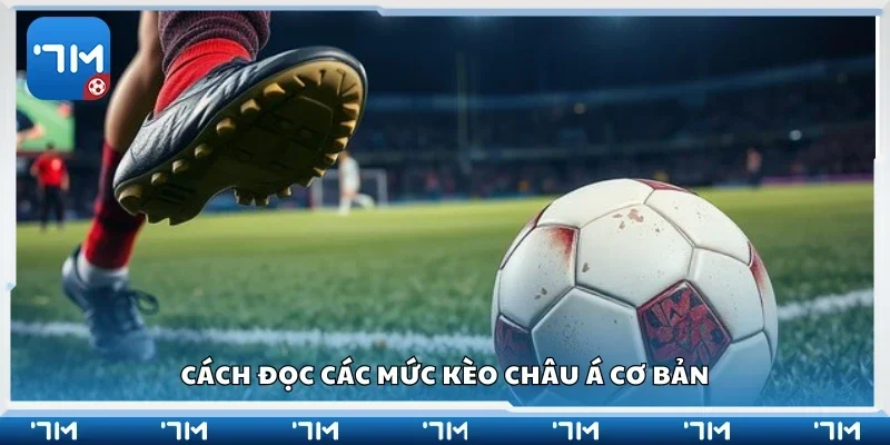Hướng dẫn cách đọc các mức kèo châu Á cơ bản