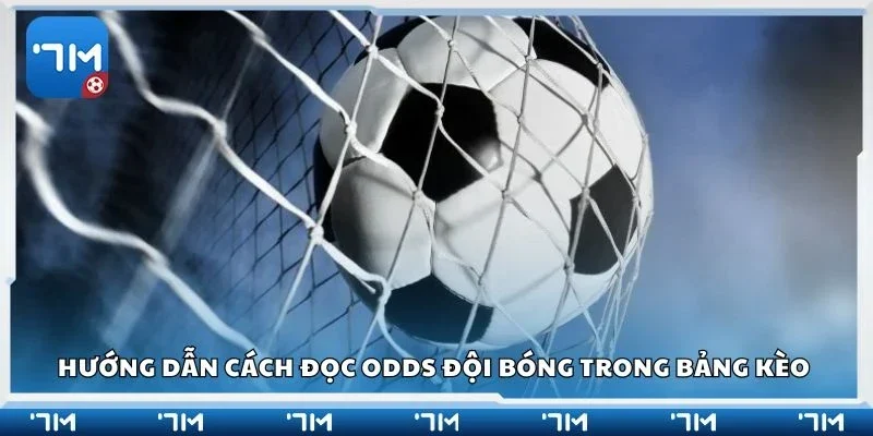 Hướng dẫn cách đọc odds đội bóng trong bảng kèo 
