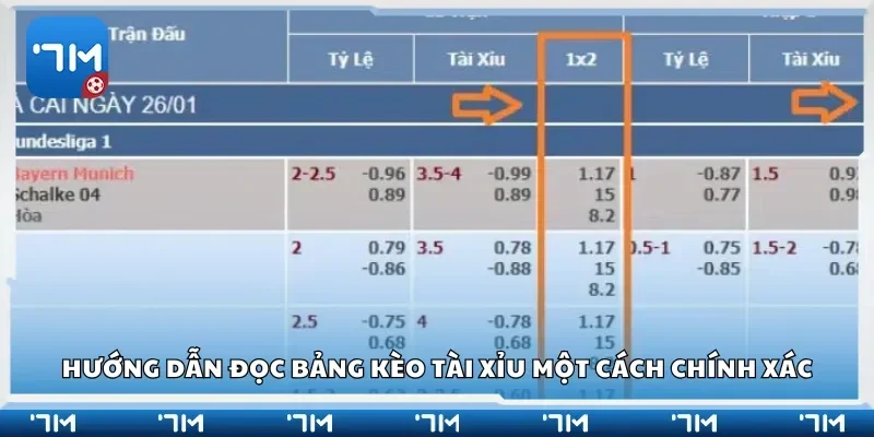 Hướng dẫn đọc bảng kèo tài xỉu một cách chính xác