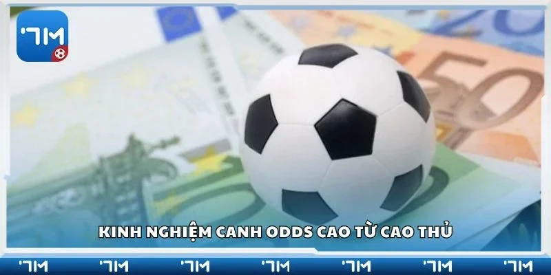 Kinh nghiệm canh odds cao từ cao thủ
