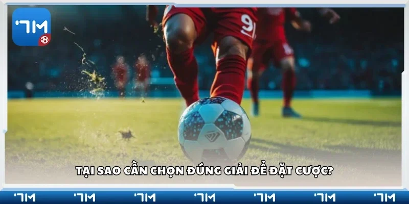 Lý do cần chọn đúng giải để đặt cược