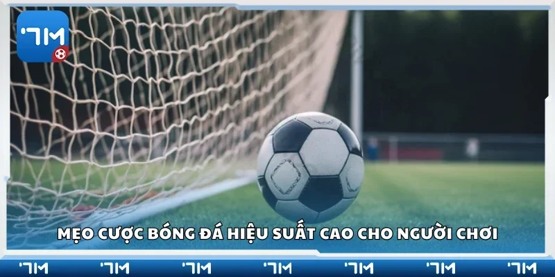 Mẹo cược bóng đá hiệu suất cao cho người chơi