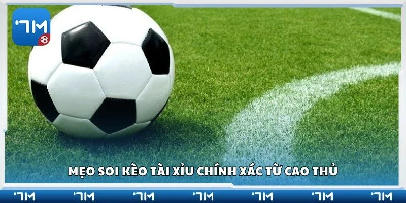 Mẹo soi kèo tài xỉu chính xác từ cao thủ