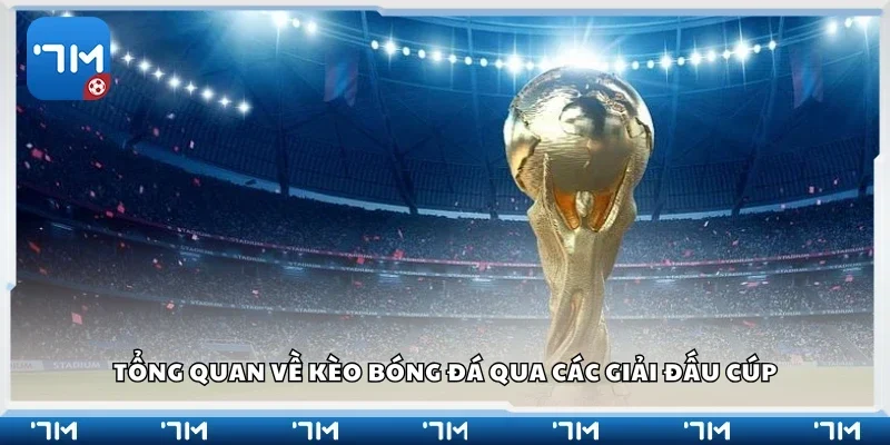 Sơ lược về kèo bóng đá qua các giải đấu Cúp