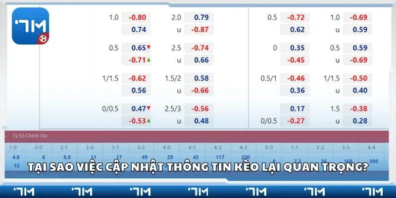 Tại sao việc cập nhật thông tin kèo lại quan trọng?