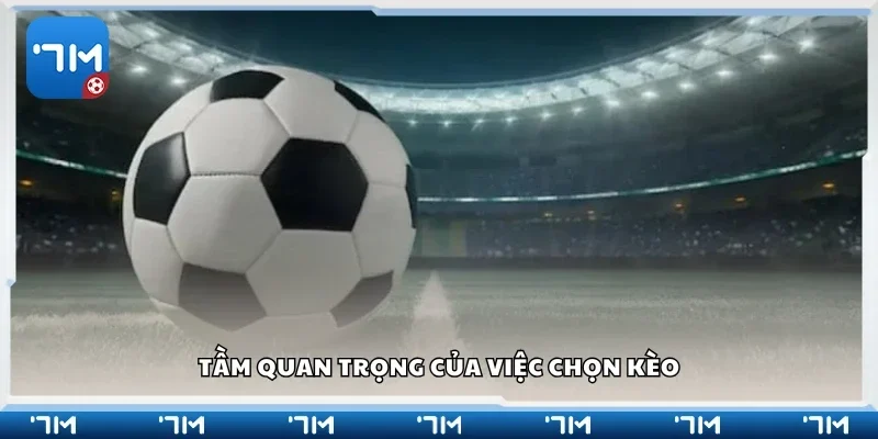 Tầm quan trọng của việc chọn kèo