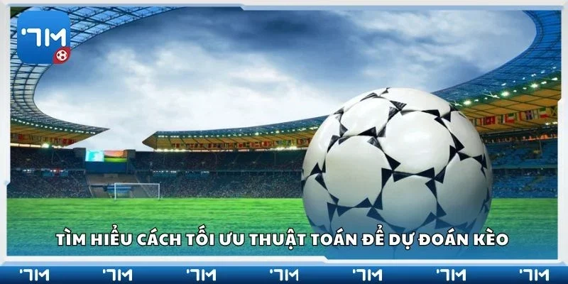 Tìm hiểu cách tối ưu thuật toán để dự đoán kèo 