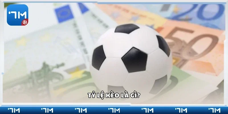 Tìm hiểu sơ lược về tỷ lệ kèo