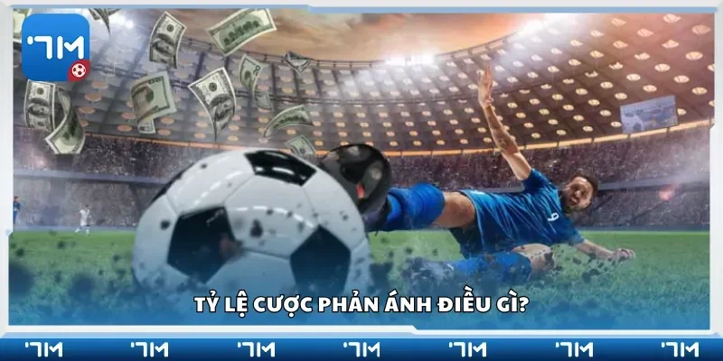 Tỷ lệ cược phản ánh điều gì?
