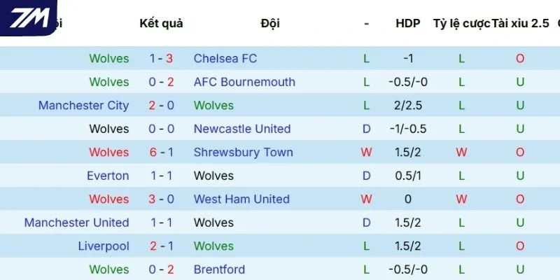 Kết quả những lần ra sân gần nhất của Wolves