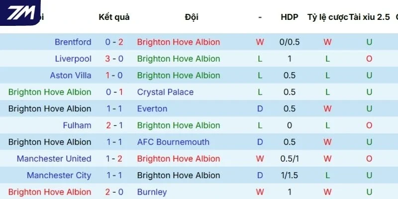 Thành tích thi đấu gần đây của Brighton