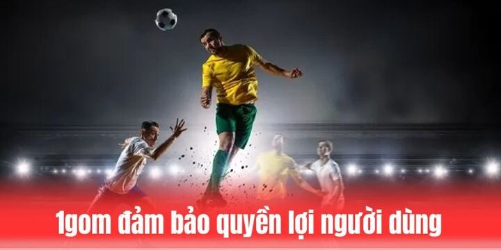 Chính sách bảo vệ quyền lợi của người tham gia 1gom