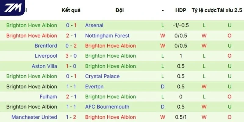 Kết quả thi đấu mới nhất của Brighton