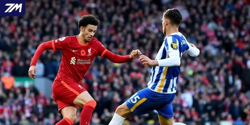 Tình hình Brighton vs Liverpool
