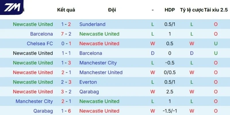 Hiệu quả thi đấu của Newcastle United