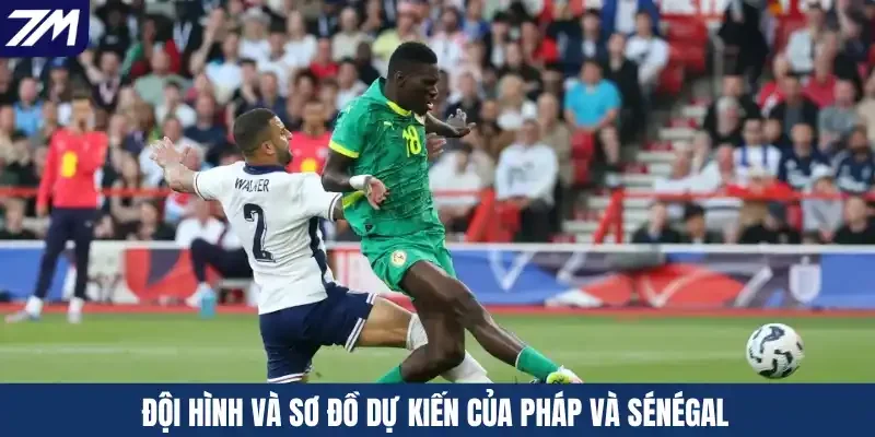 Đội hình và sơ đồ dự kiến của Pháp và Sénégal