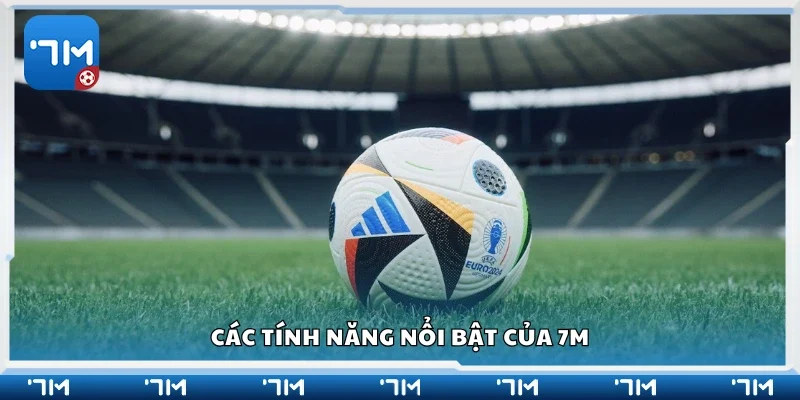 Một số tính năng nổi bật của 7m